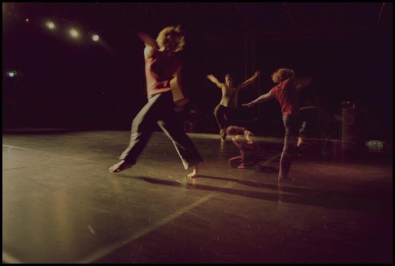 Datoteka:Plantin-memories -ANA-MARIA-PODREBARAC 2012.jpeg