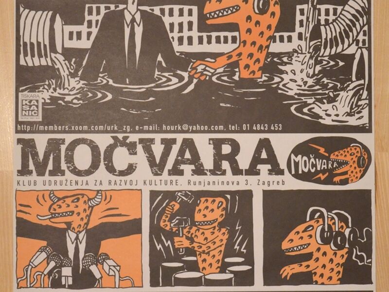 Datoteka:Xlarge bara4.JPG